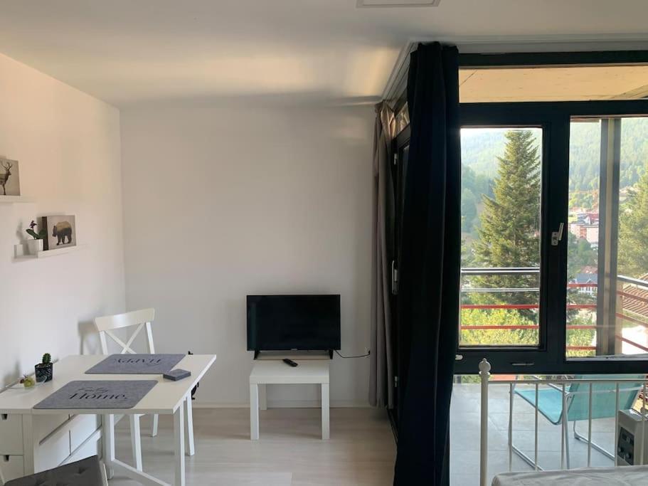 באד ווילבאד Gemuetliches Einzimmer-Apartment 33 מראה חיצוני תמונה
